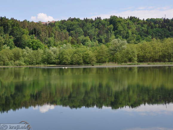 Veliki ribnik