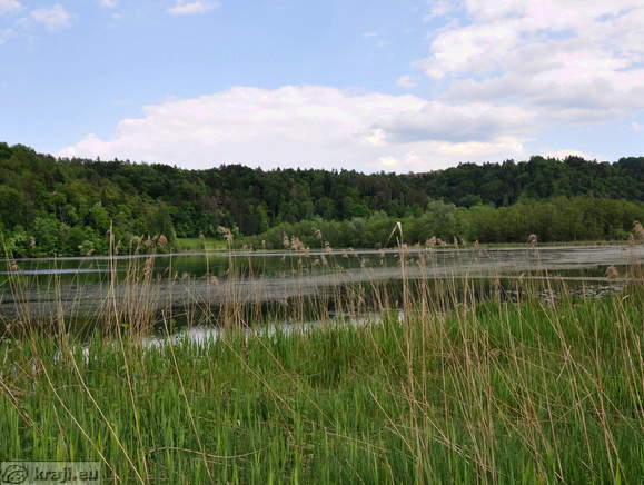 Veliki ribnik