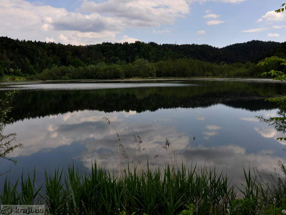 Veliki ribnik