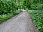 Last Pond - Road to the Last Pond 