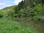 Last Pond - Last Pond in the Draga Valley 