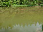 Last Pond - Last Pond 