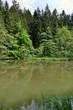 Last Pond - Last Pond 