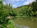 Last Pond - Last Pond 