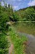 Last Pond - Last Pond 