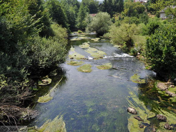 Reka Krka v vasi Krka