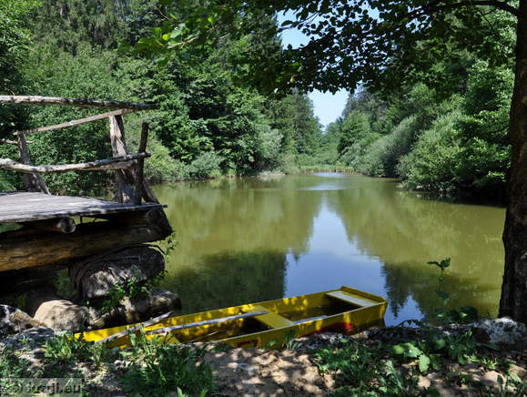 Čoln na Muljavskem bajerju
