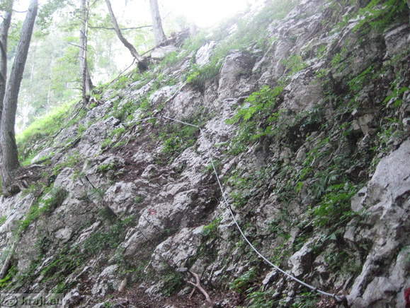 Höhenweg: Suhadolnik-Kokra Sattel