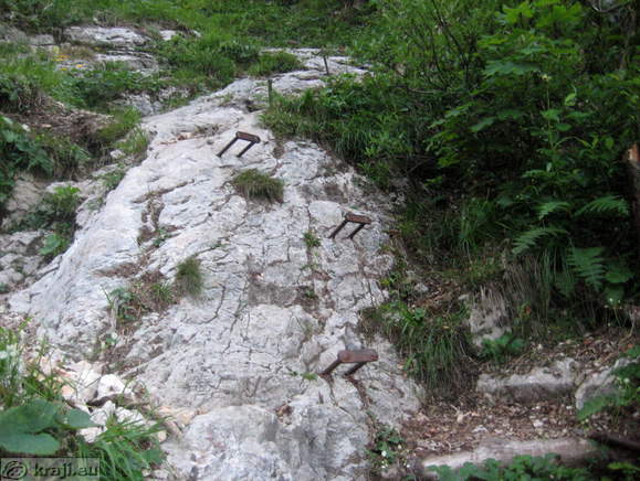 Höhenweg: Suhadolnik-Kokra Sattel