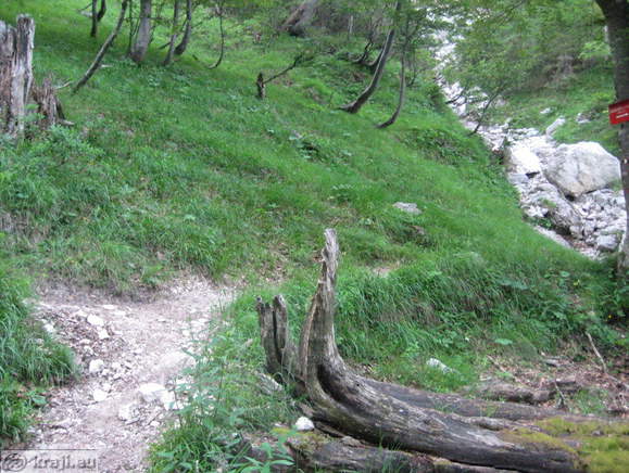 Höhenweg: Suhadolnik-Kokra Sattel