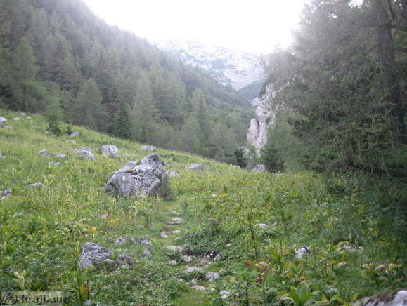 Höhenweg: Suhadolnik-Kokra Sattel