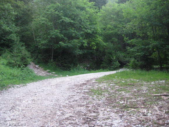 Höhenweg: Suhadolnik-Kokra Sattel