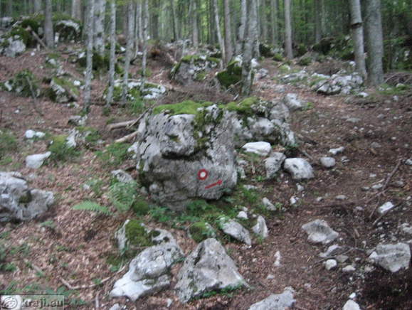 Höhenweg: Suhadolnik-Kokra Sattel