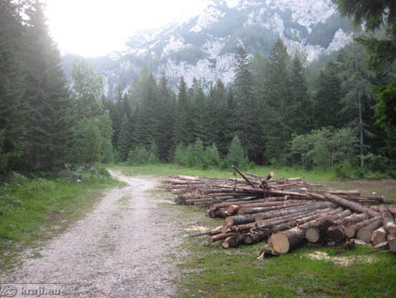 Höhenweg: Suhadolnik-Kokra Sattel