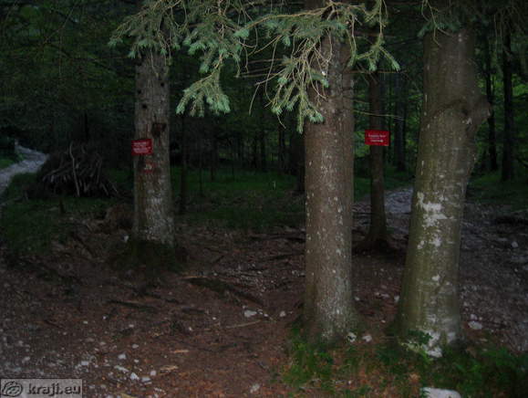 Höhenweg: Suhadolnik-Kokra Sattel