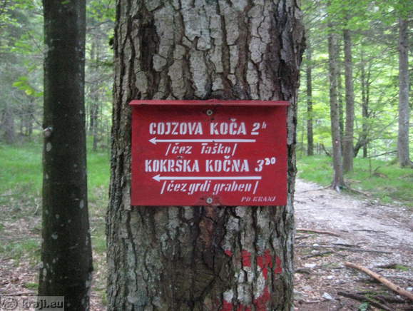 Höhenweg: Suhadolnik-Kokra Sattel