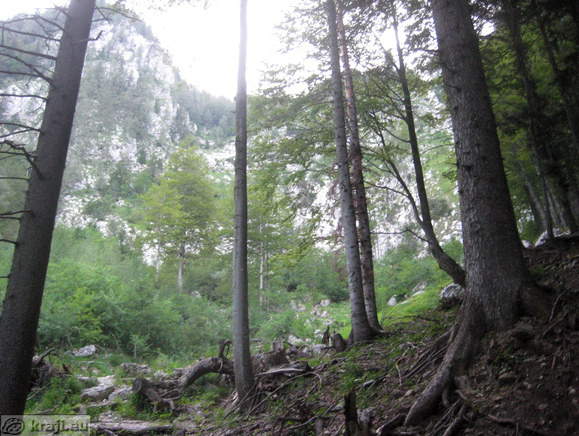 Höhenweg: Suhadolnik-Kokra Sattel