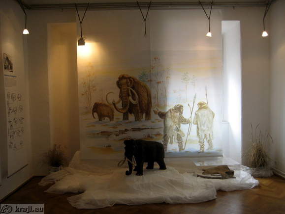 Interkommunale Museum Kamnik - Museumssammlungen im Schloss Zaprice