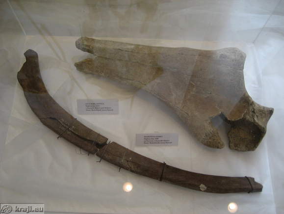 Interkommunale Museum Kamnik - Museumssammlungen im Schloss Zaprice