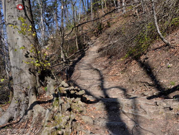 Höhenweg: Kamnik-Alt Burg