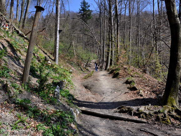 Höhenweg: Kamnik-Alt Burg