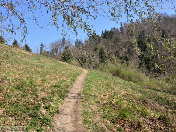 Höhenweg: Kamnik-Alt Burg