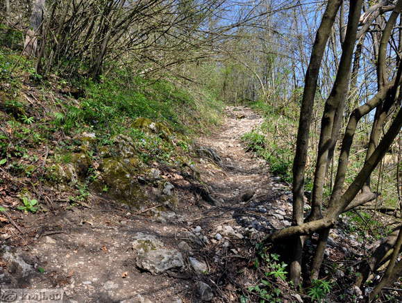 Höhenweg: Kamnik-Alt Burg