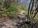 Höhenweg: Kamnik-Alt Burg - Höhenweg: Kamnik-Alt Burg 