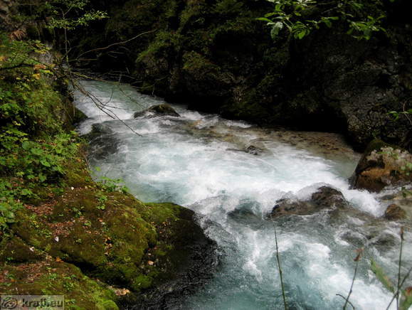 Starting of Predaselj Gorge from northern side where we come at the end of path for Mali Izvirk