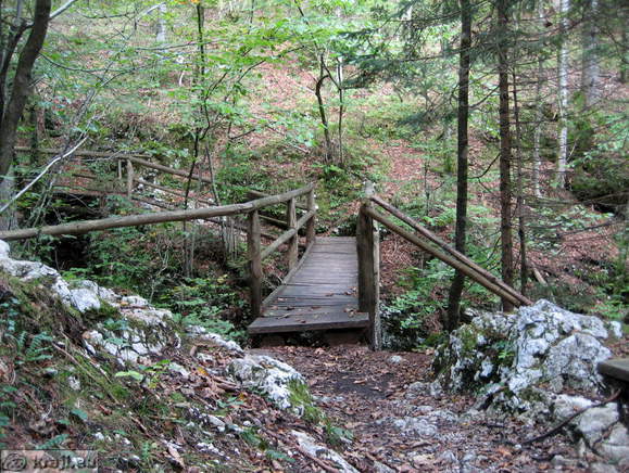 Smaller bridge a little lower over Predaselj Gorge