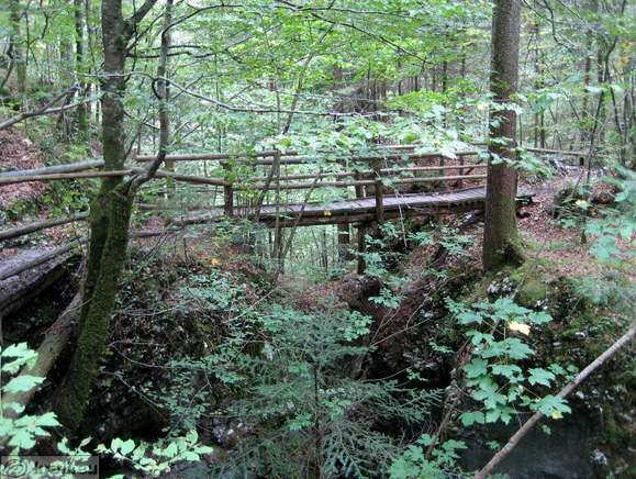 Smaller bridge over Predaselj Gorge