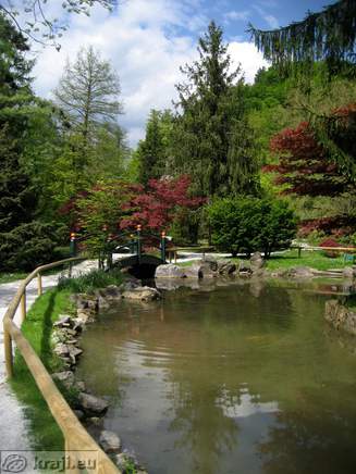 Jezero rdečega javorja