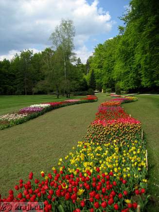Zgornji angleški park s tulipani