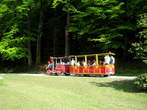 Arboretum - Vlakec, ki vozi po v parku v Arboretumu Volčji Potok 