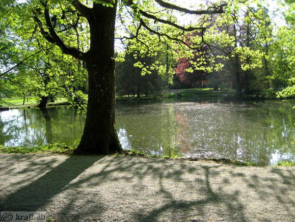 Jezero Otočec v Arboretumu