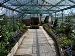 Razstava tropskih metuljev - Arboretum - Razstava tropskih metuljev 