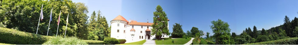 Schloss Bogensperk