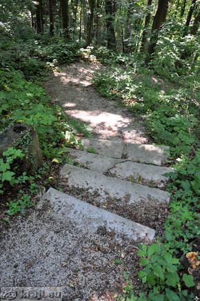 Footpath to the ruins of the Lichtenberg Castle