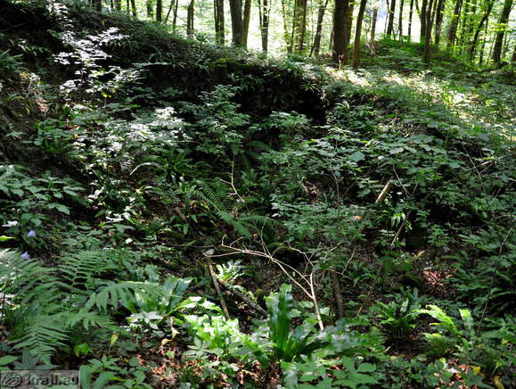 Ruins of the Lichtenberg Castle
