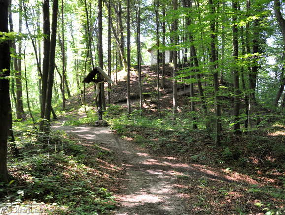 Place where it used to be the Lichtenberg Castle