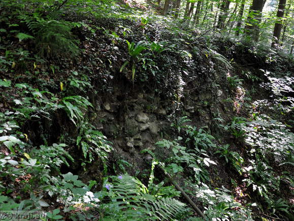 Remains of the Lichtenberg Castle