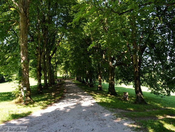 Grajski park Grajski park