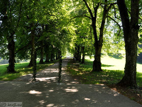 Grajski park pri gradu Bogenšperk Grajski park pri gradu Bogenšperk