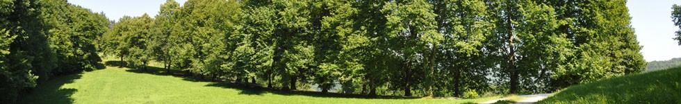 Bogensperk - Schlosspark