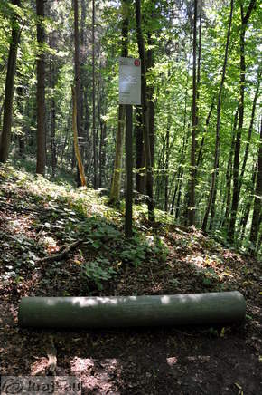 Trimska postaja 9