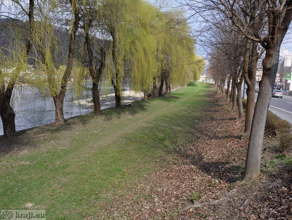 Vrbe ob reki Savi na desnem bregu