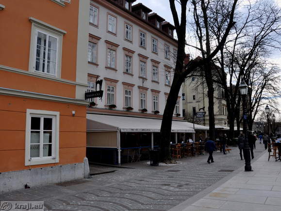 Stara mačka - Kavarna Maček