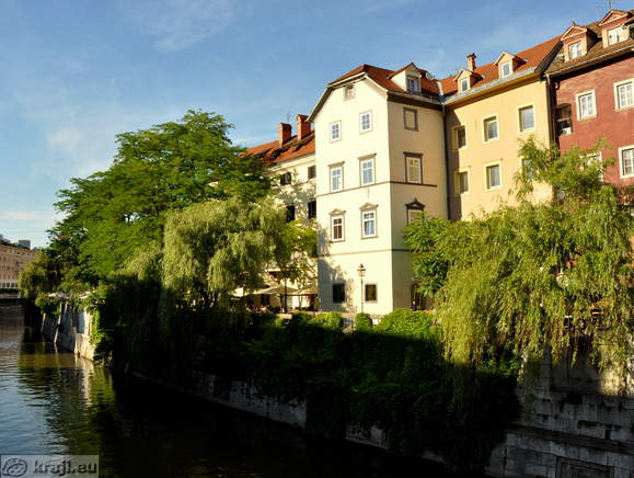 Cankarjevo nabrežje poleti