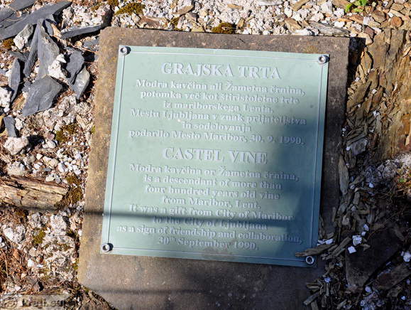 Memorial plate - Castle Vine from Maribor, Lent