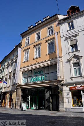 City Art Gallery - Mestni trg 5